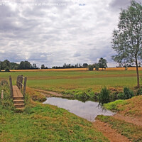 Buy canvas prints of An Essex Countryside Walk by Laurence Tobin
