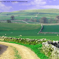 Buy canvas prints of Yorkshire Countryside Walk Route by Laurence Tobin