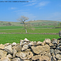 Buy canvas prints of Yorkshire Stone Walls and Fields by Laurence Tobin