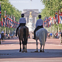 Buy canvas prints of Mounted Police, Buckingham Palace by Laurence Tobin