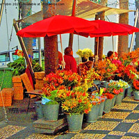 Buy canvas prints of Flower Sellers. Funchal, Madeira by Laurence Tobin