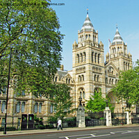 Buy canvas prints of Natural History Museum, London by Laurence Tobin