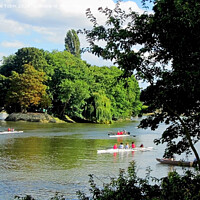 Buy canvas prints of Rowing Past Cromwell’s Island. Kew, London by Laurence Tobin
