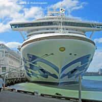 Buy canvas prints of Sun Princess liner in Dock. Auckland, New Zealand by Laurence Tobin
