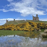 Buy canvas prints of Dunstanburgh Castle Northumberland  by David Thompson