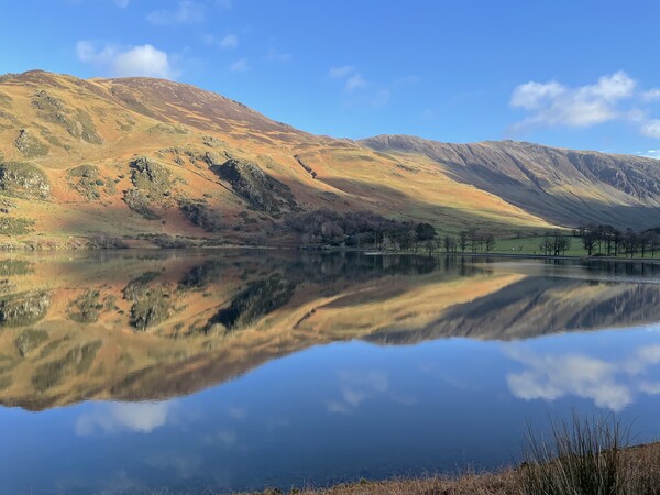 Buttermere Lake District  Picture Board by David Thompson