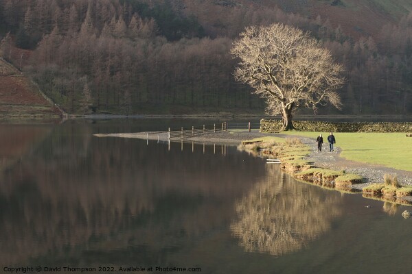 Buttermere Lake District Picture Board by David Thompson
