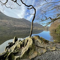 Buy canvas prints of Buttermere Lake District  by David Thompson