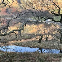 Buy canvas prints of Buttermere Lake District by David Thompson