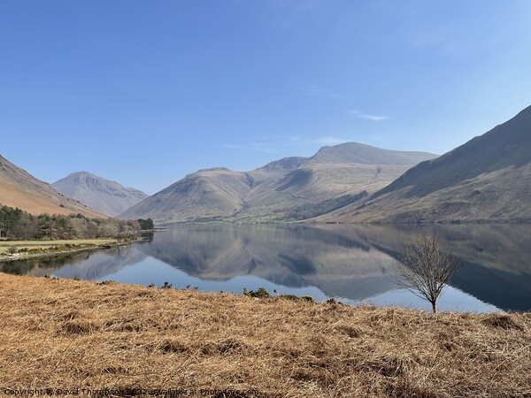 Wasdale Lake District  Picture Board by David Thompson