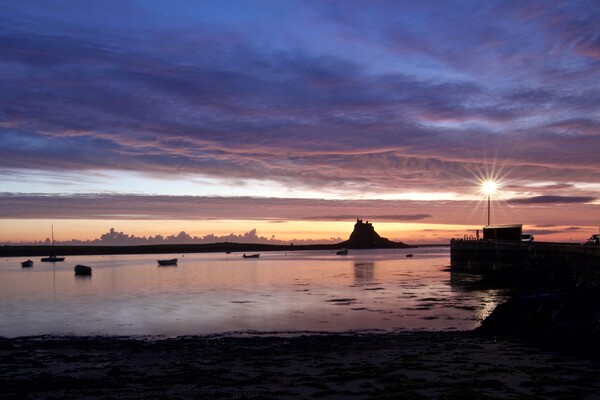 Holy Island Lindisfarne Northumberland Picture Board by David Thompson