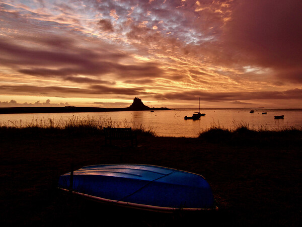 Holy Island Lindisfarne Northumberland Picture Board by David Thompson
