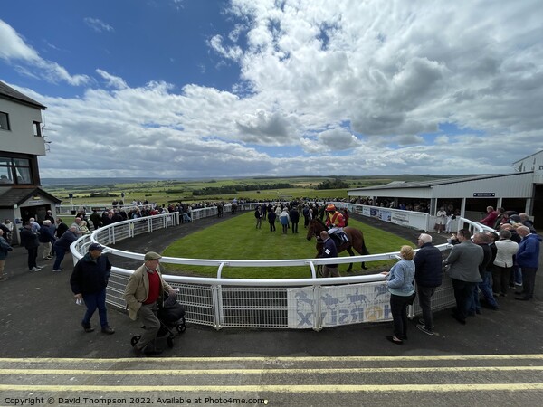 Hexham Racecourse  Picture Board by David Thompson