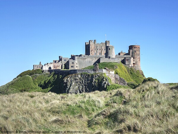 Bamburgh Castle Northumberland Picture Board by David Thompson