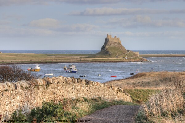 Holy Island Lindisfarne  Picture Board by David Thompson