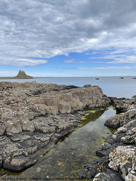 Holy Island Lindisfarne  Picture Board by David Thompson