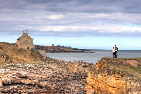 Howick Craster Northumberland  Picture Board by David Thompson
