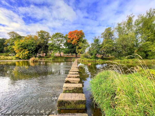Autumn Stepping Stones Morpeth Picture Board by David Thompson