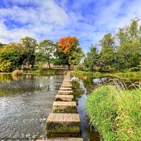 Buy canvas prints of Autumn Stepping Stones Morpeth by David Thompson