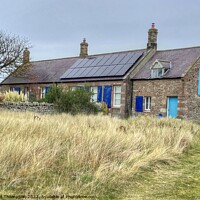 Buy canvas prints of Veras House Holy Island by David Thompson