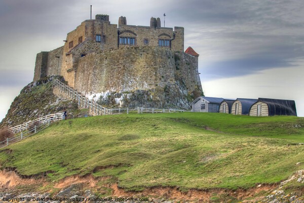 Holy Island Castle  Picture Board by David Thompson