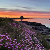 Buy canvas prints of Holy Island Sunrise  Northumberland  by David Thompson