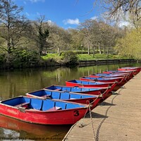 Buy canvas prints of Morpeth Rowing Boats  by David Thompson