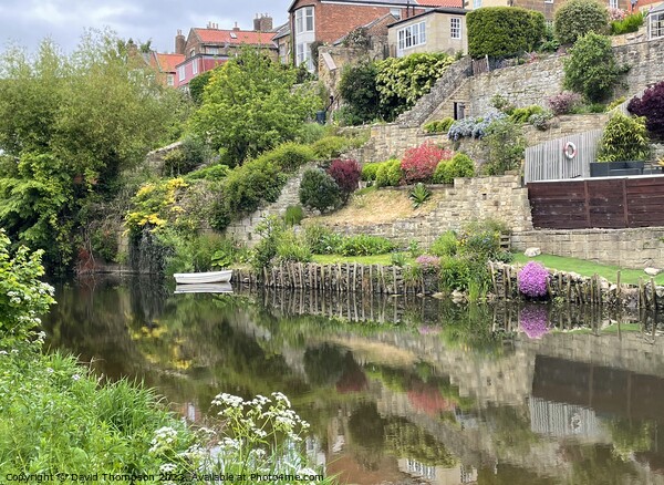 River Wansbeck Morpeth Picture Board by David Thompson