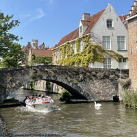 Buy canvas prints of Bruges Canals  by David Thompson