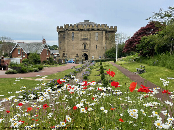 Morpeth Castle  Picture Board by David Thompson