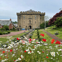 Buy canvas prints of Morpeth Castle  by David Thompson