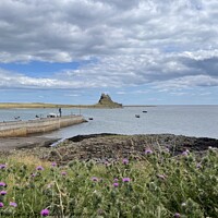 Buy canvas prints of Holy Island Northumberland  by David Thompson