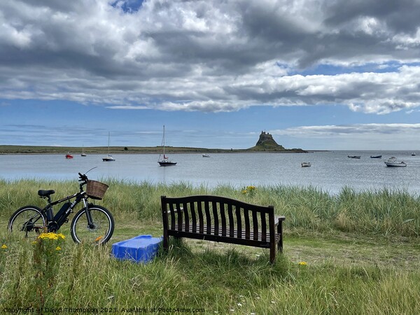 Holy Island Northumberland Picture Board by David Thompson