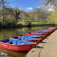 Buy canvas prints of Morpeth Rowing Boats   by David Thompson