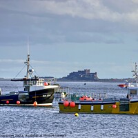 Buy canvas prints of Bamburgh Castle from Holy Island  by David Thompson