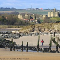 Buy canvas prints of Warkworth Castle  by David Thompson
