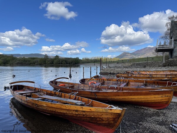 Keswick Rowing Boats Picture Board by David Thompson