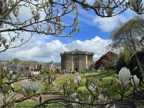 Morpeth Courthouse  Picture Board by David Thompson