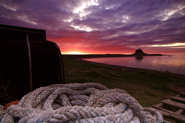 Holy Island Lindisfarne Northumberland Coast  Picture Board by David Thompson