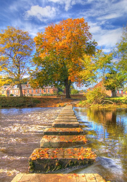 Morpeth Stepping Stones Northumberland Picture Board by David Thompson