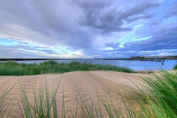 Warkworth Sand Dunes Northumberland Coast  Picture Board by David Thompson
