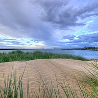 Buy canvas prints of Warkworth Sand Dunes Northumberland Coast  by David Thompson