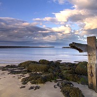 Buy canvas prints of Amble Harbour Northumberland Coast  by David Thompson