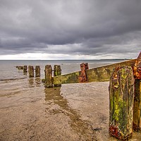 Buy canvas prints of Alnmouth Northumberland Coast  by David Thompson