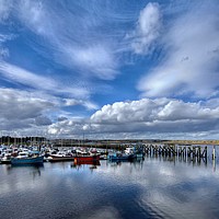 Buy canvas prints of Amble Marina Northumberland Coast  by David Thompson
