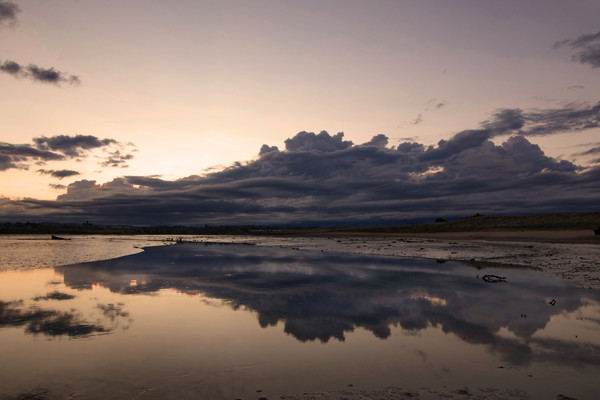 River Coquet Estuary Amble Northumberland Coast  Picture Board by David Thompson