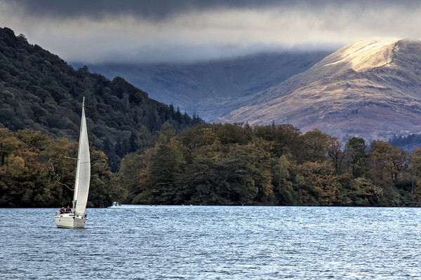Lake Windermere  Picture Board by David Thompson