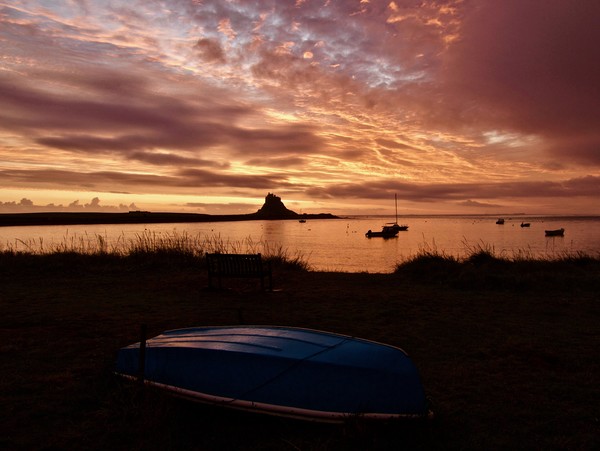  Holy Island  Northumberland Picture Board by David Thompson