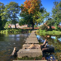 Buy canvas prints of Morpeth Stepping Stones Northumberland by David Thompson