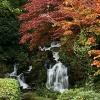 Buy canvas prints of Autumn colours Trossachs Scotland by David Thompson